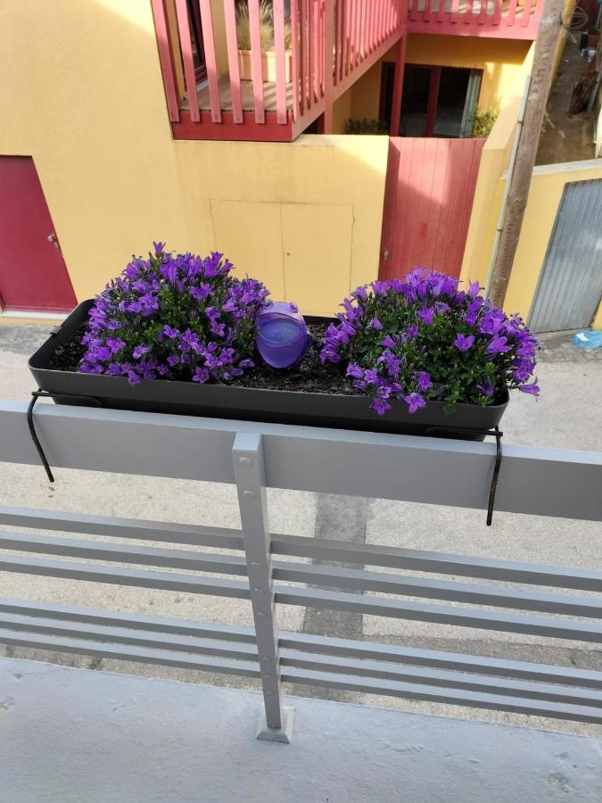 The Violet House Villa Costa Nova Exterior photo