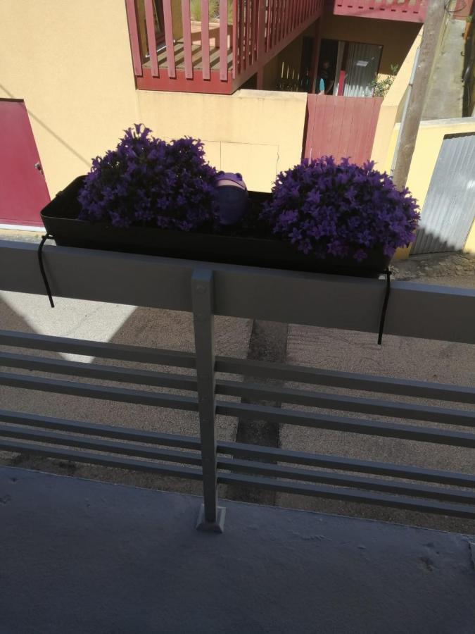 The Violet House Villa Costa Nova Exterior photo